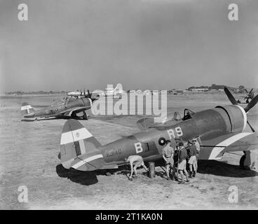 Royal Air Force Operations in the Far East, 1941-1945. Two Republic Thunderbolt Mark IIs (KJ140 'RS-B' and HD265 'RS-G') of No. 30 Squadron RAF being serviced at Jumchar, India. Note 30 Squadron's palm tree badge, which has been painted onto the white recognition stripes on the Thunderbolts' tails. Parked behind them is a visiting Boeing B-29 Superfortress of the 40th Bombardment Group, 20th USAAF. Stock Photo