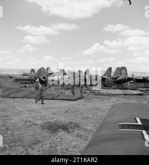 Royal Air Force Operations in the Middle East and North Africa, 1939-1943. Members of the RAF Regiment inspect wrecked Junkers Ju 52s and other German aircraft in a scrap heap on El Aouina airfield, North-east of Tunis. Stock Photo