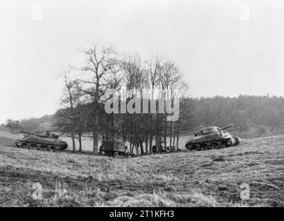 Dummy Vehicles and Equipment USED For Deception during the Second World War Inflatable Sherman tanks and 3-ton lorry in a copse. Stock Photo