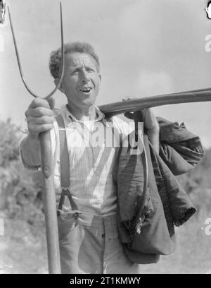 Agriculture in Britain- Life on George Casely's Farm, Devon, England, 1942 George Casely raise his pitchfork in salute in this three-quarter length portrait. He appears to be singing or speaking. Stock Photo