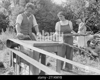 Agriculture in Britain- Life on George Casely's Farm, Devon, England, 1942 George Casely and his daughters Joan and Sylvia saw logs in the sunshine on their Devon farm. Stock Photo