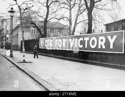 Ministry of Information Campaign Posters, London, UK, 1940 A civilian walks past a large horizontal 'Dig for Victory' poster, which can be seen on railings somewhere in London. Stock Photo