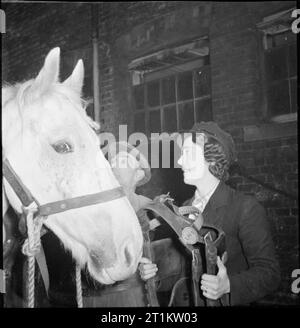 Van Girl- Horse and Cart Deliveries For the London, Midland and Scottish Railway, London, England, 1943. Stock Photo