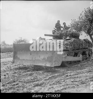 The British Army in Normandy 1944 Sherman dozer tank, 4 July 1944. Stock Photo