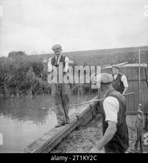 scraping the sides Stock Photo - Alamy