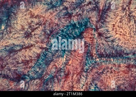 Abstract colorful background photography. Red and blue paint splash blurred in water. Stock Photo