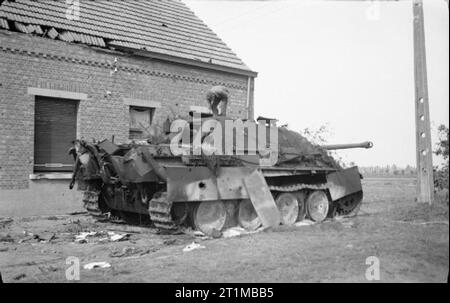 The British Army in North-west Europe 1944-45 Knocked-out German Jagdpanther tank destroyer near Gheel, 13 September 1944. Stock Photo