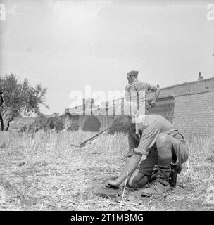 The British Army in Sicily 1943 Sappers lifting mines near Catenanuova, 1 August 1943. Stock Photo
