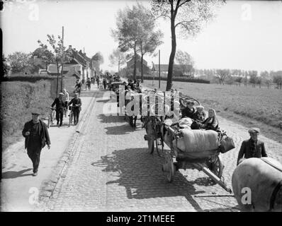 The British Expeditionary Force (bef) in France, 1939 - 1940 Streams of refugees leaving the bombarded town of Enghein. Stock Photo