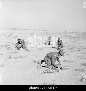 The Polish Army in the Western Desert Campaign, 1940-1942 These pictures taken at the extreme forward positions around Carmuset er Regem (Karmusat ar Rijam) area near Gazala, show infantry and artillery units of the Polish Independent Carpathian Rifles Brigade facing German and Italian forces. Stock Photo