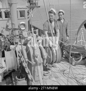 The Royal Navy during the Second World War Seaman L Thomas at the winch used to hoist the 'hammer', a device for destroying acoustic mines on board HM Motor Minesweeper 88 during minesweeping operations off Anzio, Italy. Stock Photo