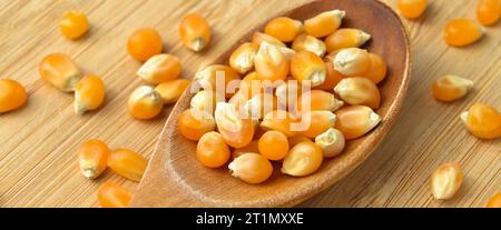 Yellow maize corn kernels ready for making popcorn, on cutting board bamboo and in wooden spoon Stock Photo