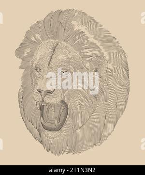 portrait of an aggressive lion head, Vintage engraving drawing style illustration Stock Vector