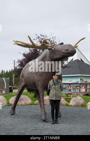 Sculpture of Morris the Moose at Irving Oil Big Stop in Goobies, Newfoundland & Labrador, Canada Stock Photo