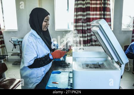 A young female technician at the Vocational training centre repairing a mobile phone in Dar es Salaam, Tanzania on October 1, 2021 Stock Photo