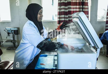 A young female technician at the Vocational training centre repairing a mobile phone in Dar es Salaam, Tanzania on October 1, 2021 Stock Photo