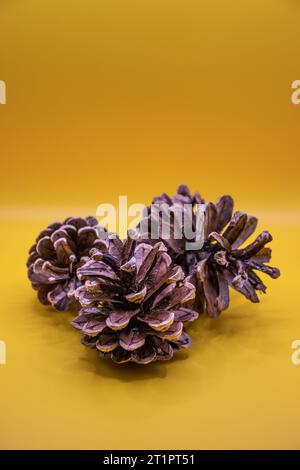 Top view of pine cones on a yellow background Stock Photo