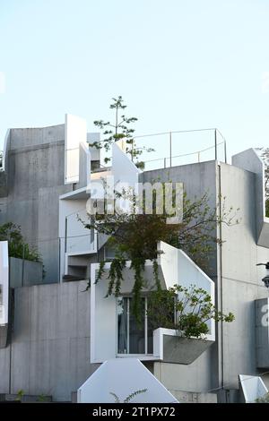 Green architecture by Akihisa Hirata in Tokyo: Tree-Ness House  designed like a vertical forest blends nature and architecture through green balconies Stock Photo