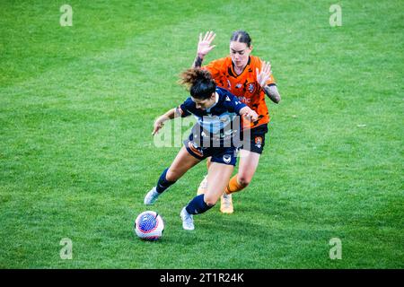 Melbourne, Victoria, Australia. 15th Oct, 2023. MELBOURNE, AUSTRALIA - OCTOBER 15: Emma Kay Checker of Melbourne Victory against Brisbane Roar at La Trobe University Sports Fields on October 15, 2023 in Melbourne, Australia (Credit Image: © Chris Putnam/ZUMA Press Wire) EDITORIAL USAGE ONLY! Not for Commercial USAGE! Stock Photo