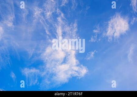 High cirrus clouds in an evening light - John Gollop Stock Photo