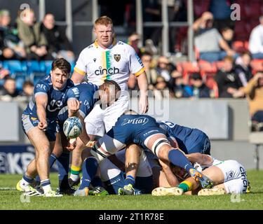 Salford, Lancashire, UK. 15th October 2023; AJ Bell Stadium, Salford, Lancashire, England; Gallagher Premiership Rugby, Sale Sharks versus Northampton; Raffi Quirke of Sale Sharks clears the ball Credit: Action Plus Sports Images/Alamy Live News Stock Photo