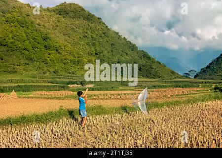 A boy and his kite in the rice fields, Tam Son, Ha Giang, Vietnam Stock Photo