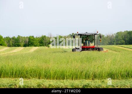 Cutting Hay. Ontario County. Canandaigua, New York USA. Stock Photo