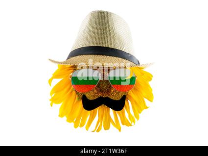 Sunflower with a hat, mustache and glasses in form of the Bulgaria flag (close-up), isolated on a white background. Largest producer of vegetable oil Stock Photo