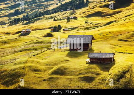 Aerial view of the alpine hills in sunlight. Great and gorgeous scene. Location place National Park Gardena valley, Seceda peak, Dolomiti. South Tyrol Stock Photo