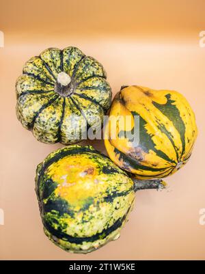 Top view of three colorful autumn pumpkins near each other on a yellow background Stock Photo