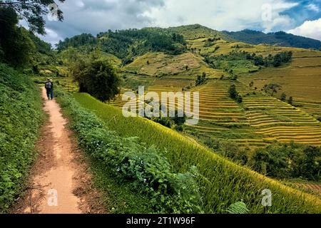 Trekking through the amazing rice terraces of Mu Cang Chai, Yen Bai, Vietnam Stock Photo