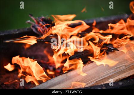 Burning log of wood close-up as abstract background. The hot embers of burning wood log fire. Texture fire bonfire embers. Stock Photo