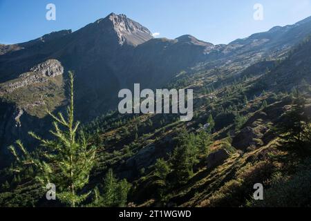 Herbstliche Berglandschaft am Fuss des Monte Leone im Wallis Stock Photo