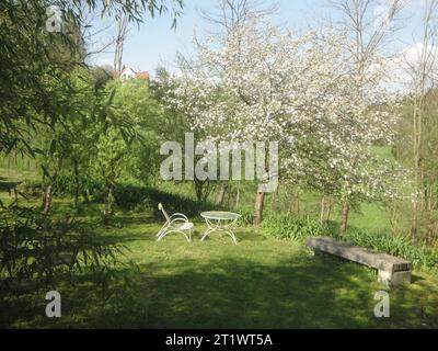 Chairs Or Armchairs For Sitting And Relaxing In The Garden Chairs For Sitting In The Garden Credit: Imago/Alamy Live News Stock Photo