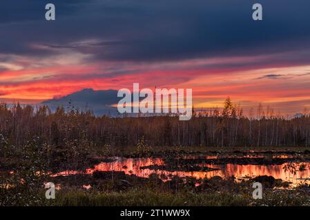 Colorful sinset on the bog at Autumn Stock Photo