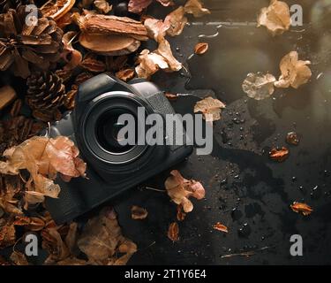 Dslr camera lying flat  with dry leaves, pine cones and twigs on a wet black background. Focus in the centre. Stock image. Stock Photo