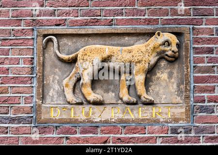 17th century gable end carving of a leopard preserved on the more recent Gereformeerd Gymnasium building in Keizergracht, Amsterdam. Stock Photo