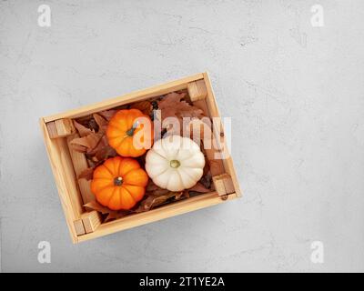 Autumn pumpkins in a wooden crate over autumn leaves on gray textured background with copy space. Top view. Stock Photo