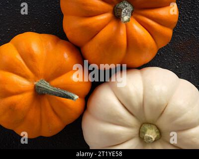 Close up macro top view of pumpkins on black textured background. Stock Photo