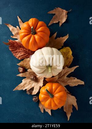 Miniature pumpkins over autumn leaves on blue textured background. Stock Photo
