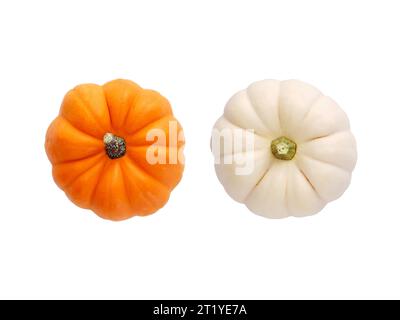 Two fresh orange and white colored Autumn pumpkins isolated on white background. Top view. Stock Photo