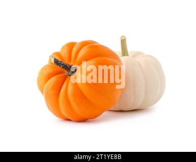 Two fresh orange and white colored Autumn pumpkins isolated on white background. Stock Photo