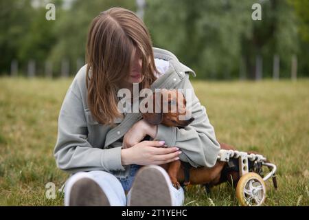 Girl takes care of a paralysed dog in wheelchair Stock Photo