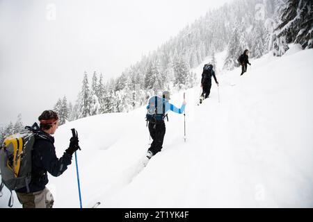 A group of skiers skin up a pass in the backcountry. Stock Photo
