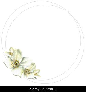 White flowers. Watercolor illustration. Jasmine. Floral background. Buds. Isolated. Frame. Drawn by hand. Silver rings. Stock Photo