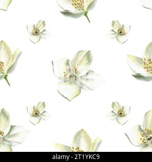Watercolor illustration of jasmine - seamless pattern for souvenirs and textiles. Isolated on white background, hand drawn Stock Photo