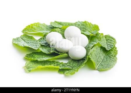 Mint candies. Menthol bonbons and mint leaves isolated on the white background. Stock Photo