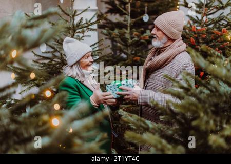 Happy senior couple exchanging Christmas gifts. Stock Photo