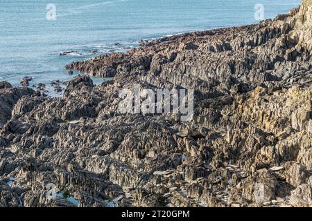 The Morte Slates on the North Devon coast at Morte Point, near Woolacombe Stock Photo