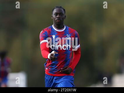 GOAL 1-1, Hindolo Mustapha of Crystal Palace U18 goal celebration. - Crystal Palace U18 v Fulham U18, U18 Premier League South, Crystal Palace Academy, London. - 29th October 2022. Editorial Use Only - DataCo Restrictions Apply. Stock Photo